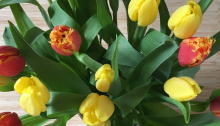 Vier jouw verjaardag (bos tulpen)
