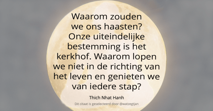 Waarom zouden we ons haasten? Onze uiteindelijke bestemming is het kerkhof. Waarom lopen we niet in de richting van het leven en genieten we van iedere stap?  Thich Nhat Hanh