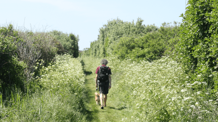 Beeld dat illustreert: Doe elke dag iets om jezelf te voeden