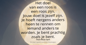 Het doel van een roos is een roos zijn. Jouw doel is jezelf zijn. Je hoeft nergens anders heen te rennen om iemand anders te worden. Je bent prachtig zoals je bent. – Thich Nhat Hanh (Hart van Boeddha’s leer)
