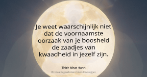 Je weet waarschijnlijk niet dat de voornaamste oorzaak van je boosheid de zaadjes van kwaadheid in jezelf zijn. – Thich Nhat Hanh (uit de short teaching video “The Roots of Anger”)