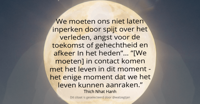 We moeten ons niet laten inperken door spijt over het verleden, angst voor de toekomst of gehechtheid en afkeer In het heden”… ““[We moeten] in contact komen met het leven in dit moment - het enige moment dat we het leven kunnen aanraken.” – Thich Nhat Hanh (uit “Leven in aandacht”)