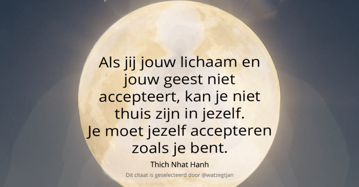 Als jij jouw lichaam en jouw geest niet accepteert, kan je niet thuis zijn in jezelf. Je moet jezelf accepteren zoals je bent.– Thich Nhat Hanh (eigen vertaling uit How to love”)