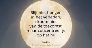 Blijf niet hangen in het verleden, droom niet van de toekomst, maar concentreer je op het nu. – Boeddha