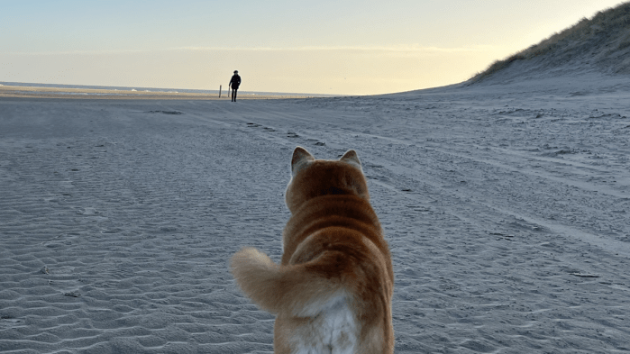 Met terugwerkende kracht bestaat niet