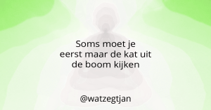 Soms moet je eerst maar de kat uit de boom kijken.