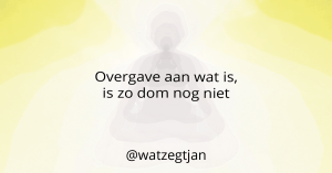 Overgave aan wat is, is zo dom nog niet