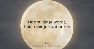 Hoe stiller je wordt, hoe meer je kunt horen – Rumi