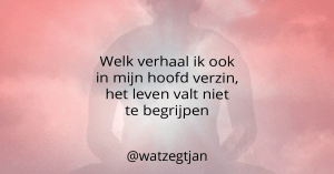 Welk verhaal ik ook in mijn hoofd verzin, het leven valt niet te begrijpen