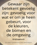 Gewaar zijn betekent gevoelig zijn: gevoelig voor wat er om je heen gebeurt, voor de kleuren, de bomen en de omgeving – Krishnamurti